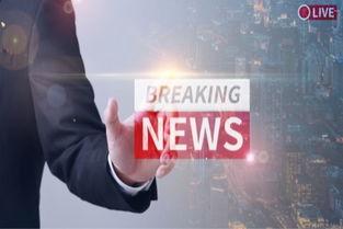 3月20日东莞新闻头条,聚焦3月20日热点事件与动态