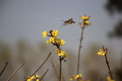 头条不忘初心摄影大赛,光影记录时代变迁——头条摄影大赛精彩回顾