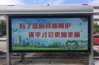 遂平常庄头条内容,聚焦最新动态，解码区域发展新篇章