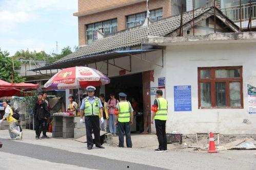 鲁山县衣家村新闻头条,乡村振兴新篇章，绿色发展谱新篇