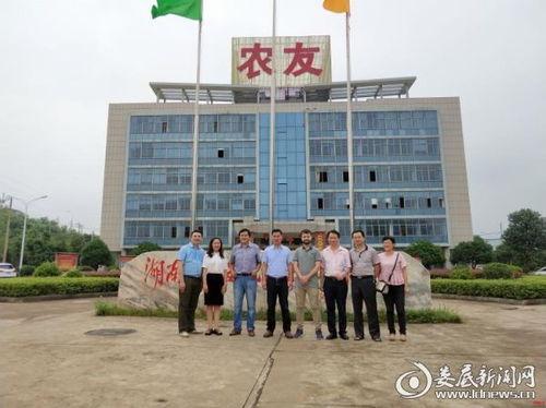 双峰区永丰街道新闻头条,聚焦社区发展新动态，共绘美好家园新画卷