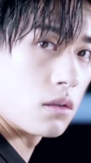 叫闪闪明星,揭秘“闪闪明星”的璀璨人生