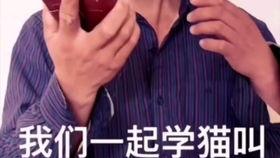 我是大明星唱快乐老家,我是大明星演绎经典快乐老家魅力再现