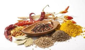 朱紫从哪看调味料好坏,揭秘调味料优劣的秘诀