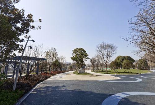 南京网红公园有多少人口,人口密集的绿色天堂